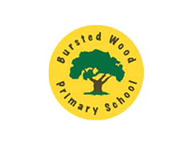 Bursted Wood Primary Logo